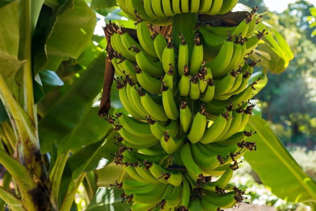 ประสบการณ์ด้านอาหาร