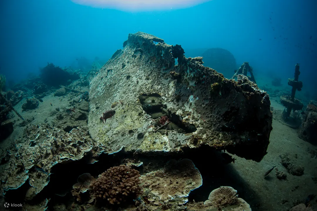 PADI 高氧空气潜水员 - 高氧