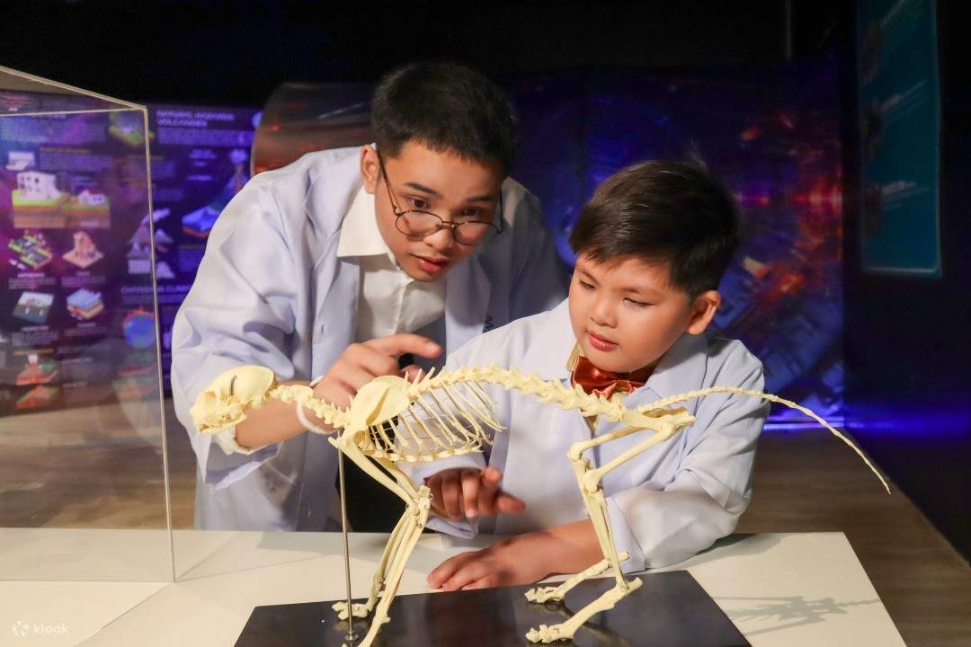 Science Expedition Lab 马尼拉 Science XPdition 门票 - Klook