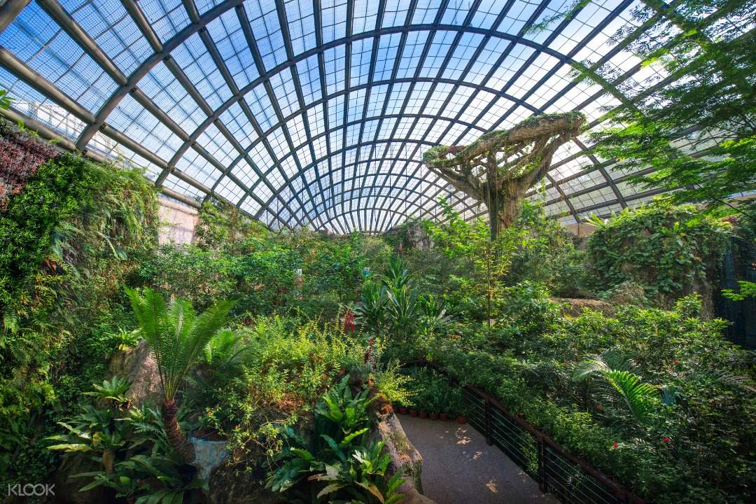 Entopia by Penang Butterfly Farm Admission Ticket - Klook US