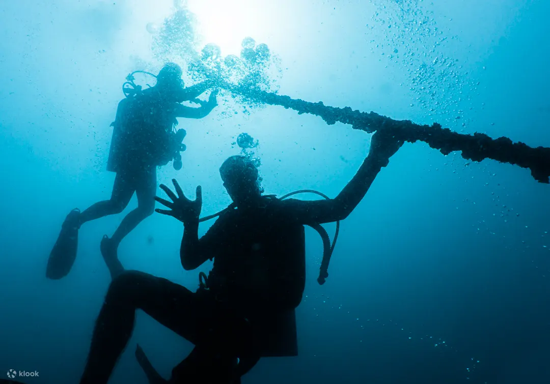 PADI 高氧空气潜水员