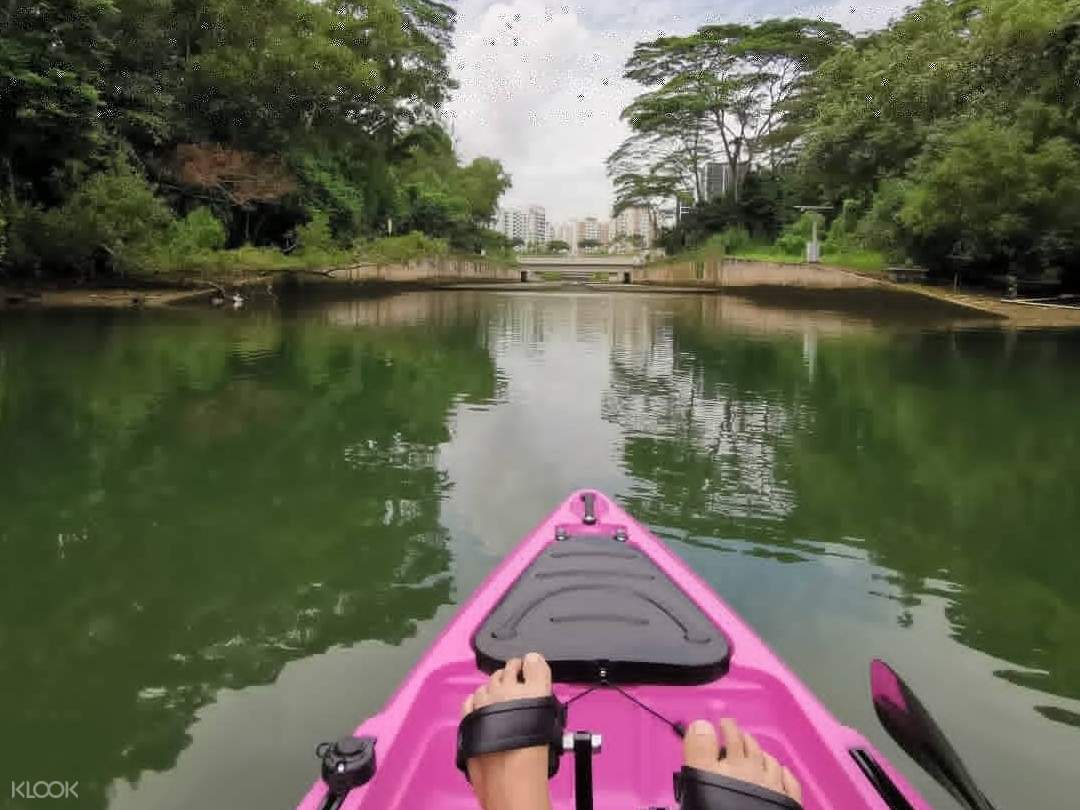 Leg Pedal Kayak Tour in Mangrove, Seletar Island or Sungei Simpang