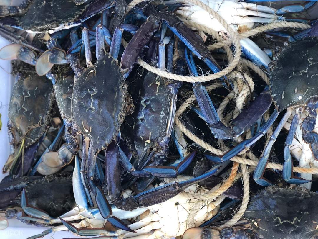 Crab Catching and Dining in Mandurah