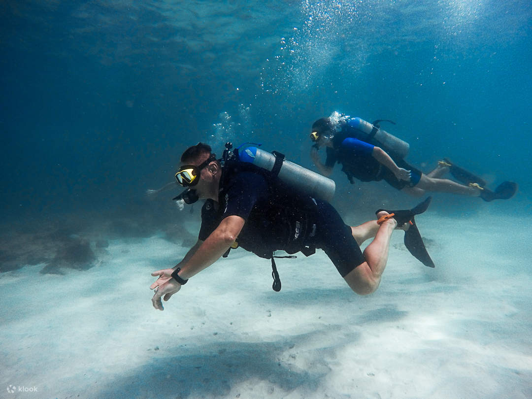 PADI ReActivate Repaso de Buceo