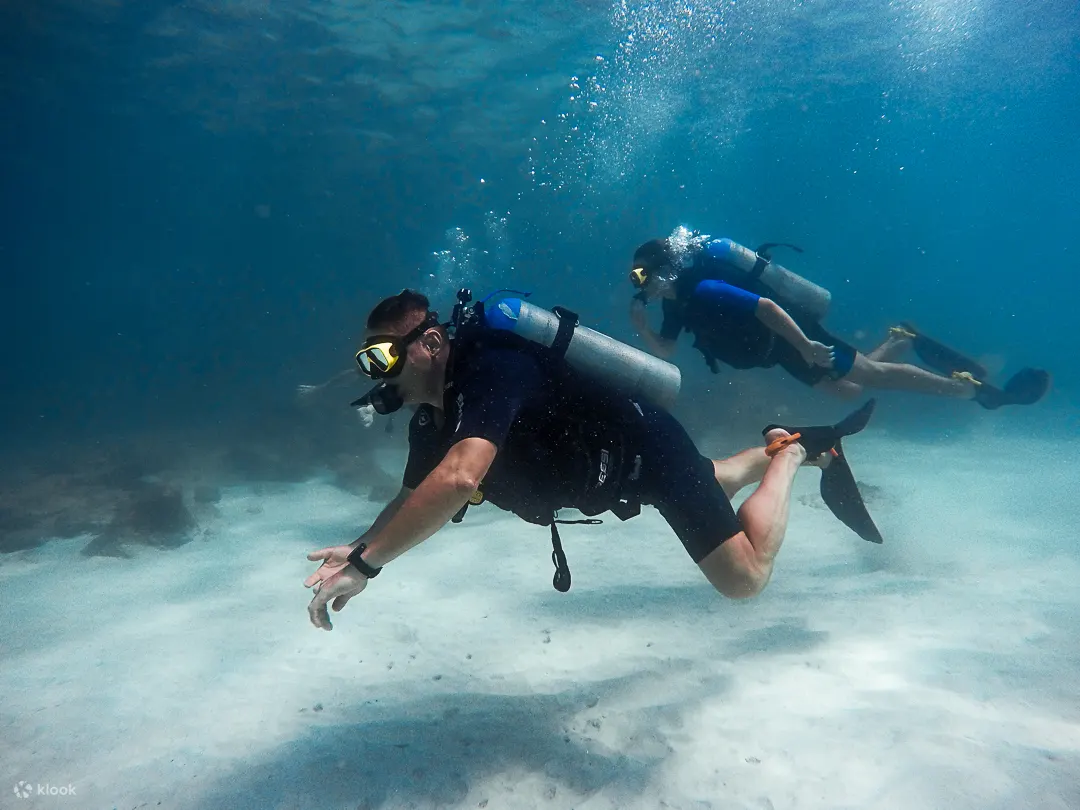 PADI ReActivate 水肺复习课程