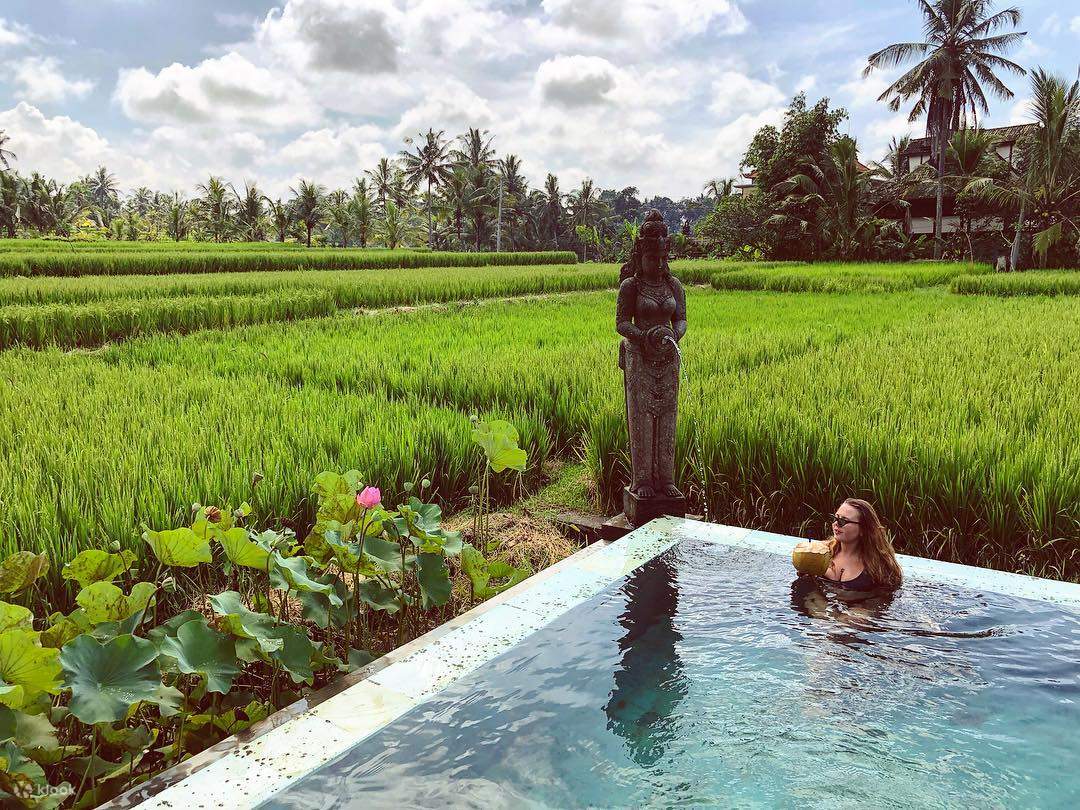 Retiro de luciérnagas de 7 días en Ubud, Bali