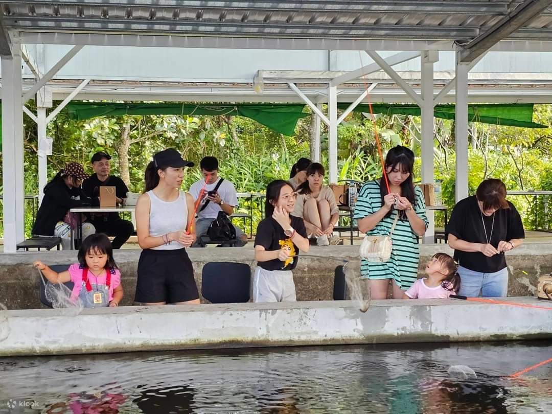 Shrimp and Fish Catching Experience