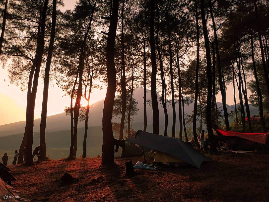 Mount Halimun National Park Ticket and Camping Experience in Bogor ...