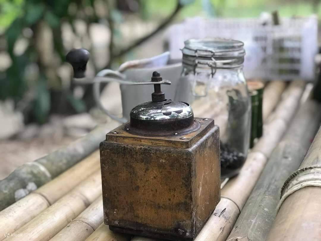 Bamboo Rafting, Turtle Conservation, Coffee making & Monkey Cave - Klook
