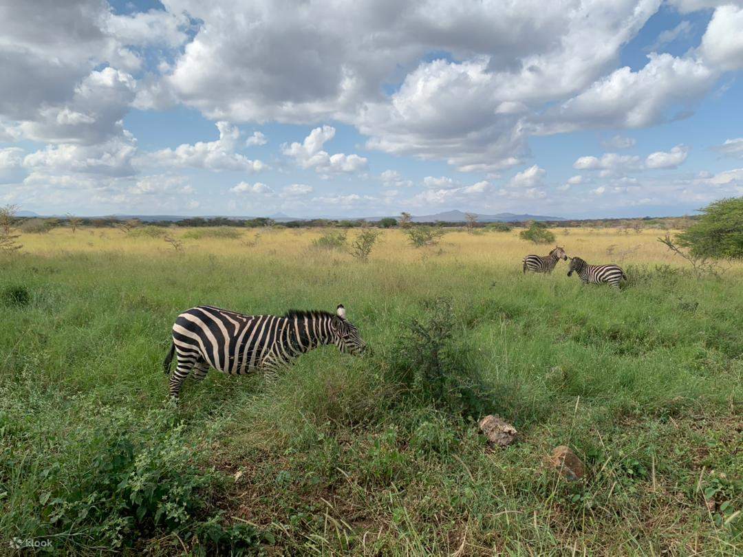 Arusha National Park Day Trip