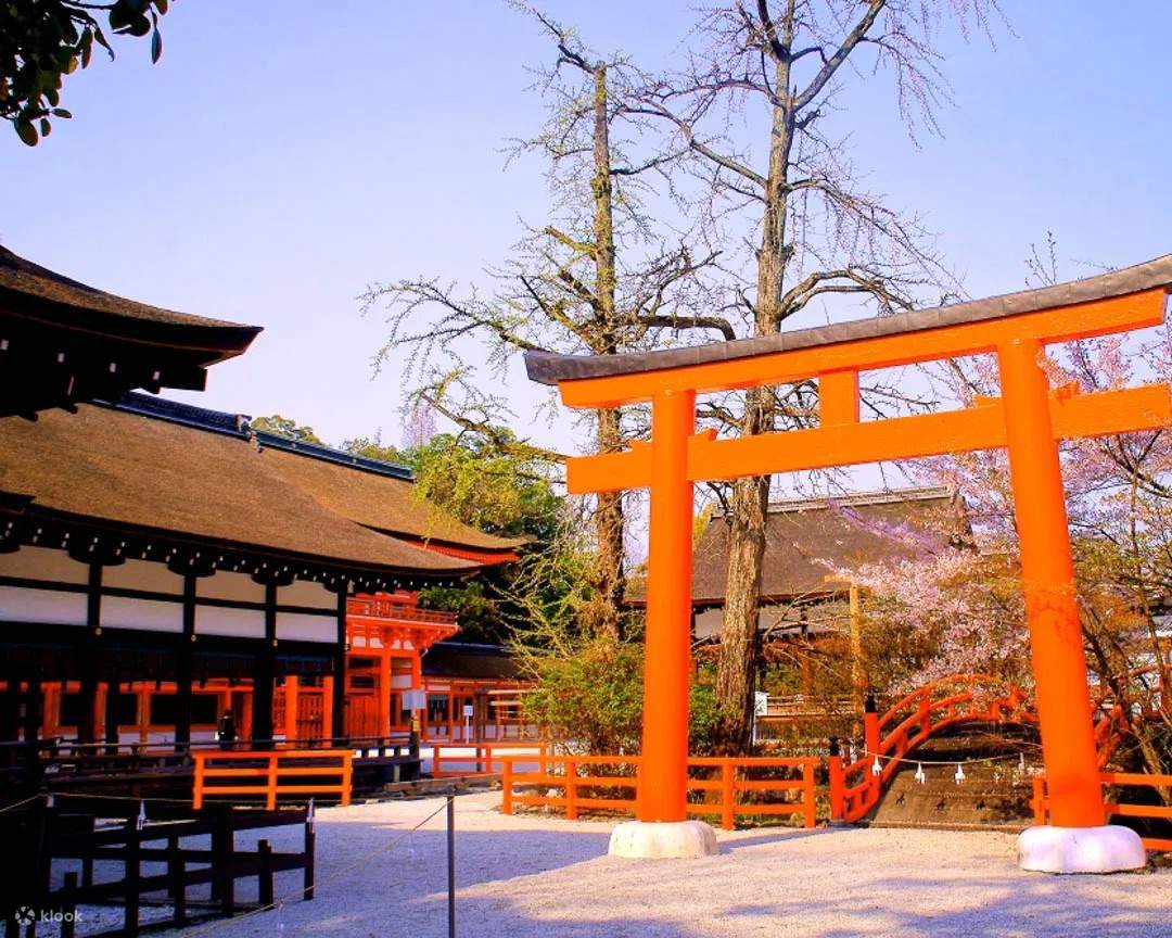 京都の桜グルメツアー