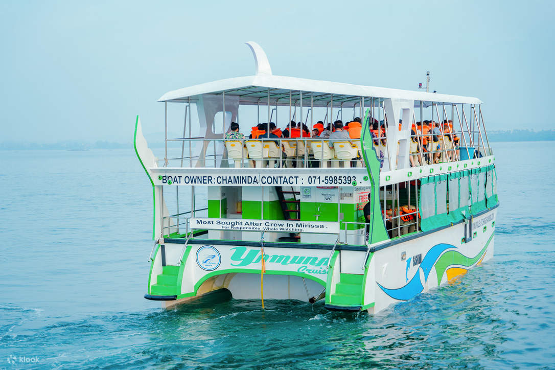 Walbeobachtung Mirissa mit Chaminda mit Frühstück & Abholung