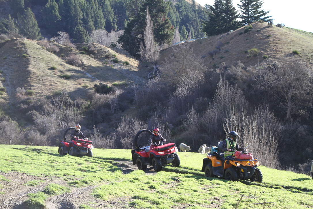 Giữ khoảng cách an toàn