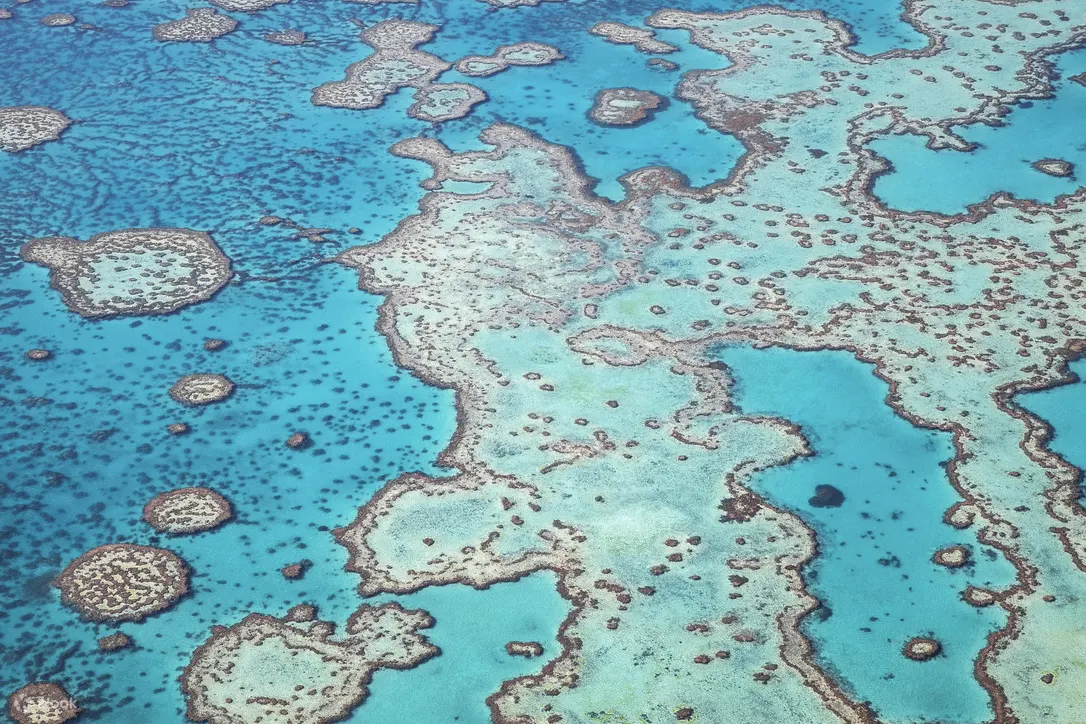 美丽的珊瑚礁和蓝色的海景