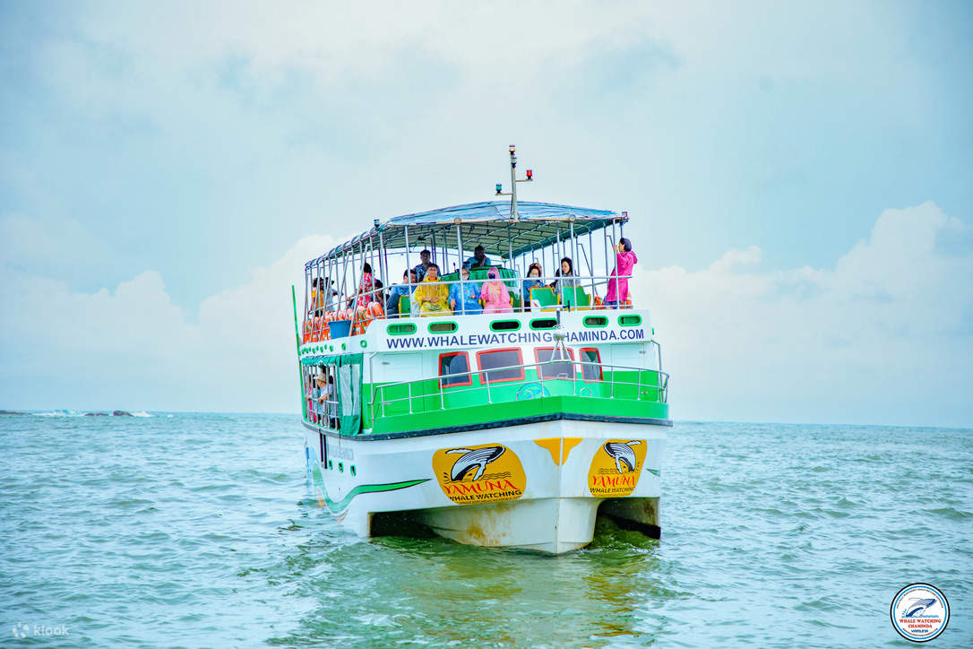 Walbeobachtung Mirissa mit Chaminda mit Frühstück & Abholung