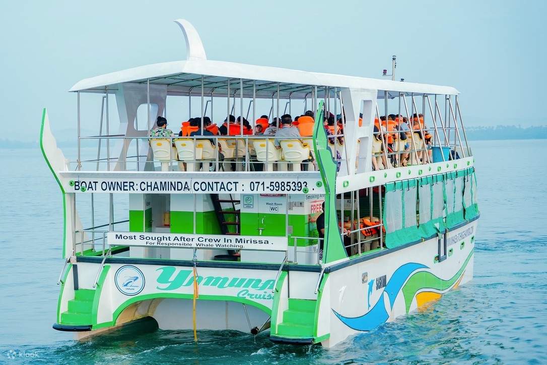 Walbeobachtung Mirissa mit Chaminda mit Frühstück & Abholung