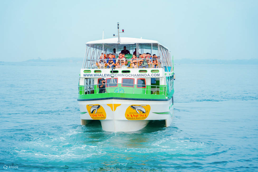 Avvistamento Balene a Mirissa con Chaminda con Colazione & Transfer