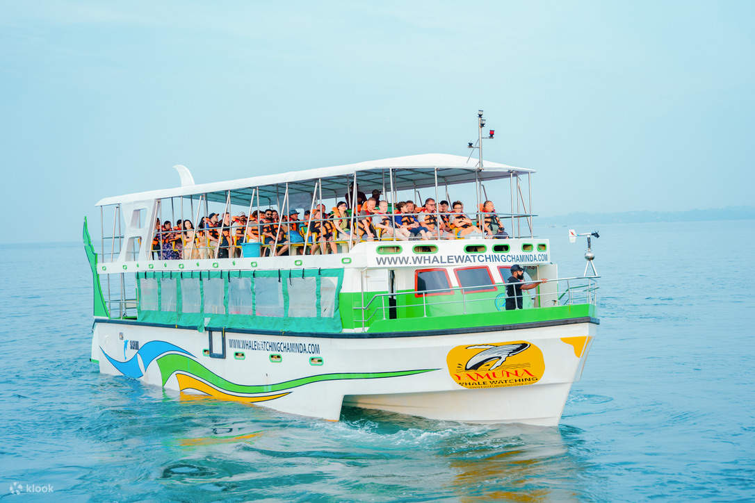 Walbeobachtung Mirissa mit Chaminda mit Frühstück & Abholung