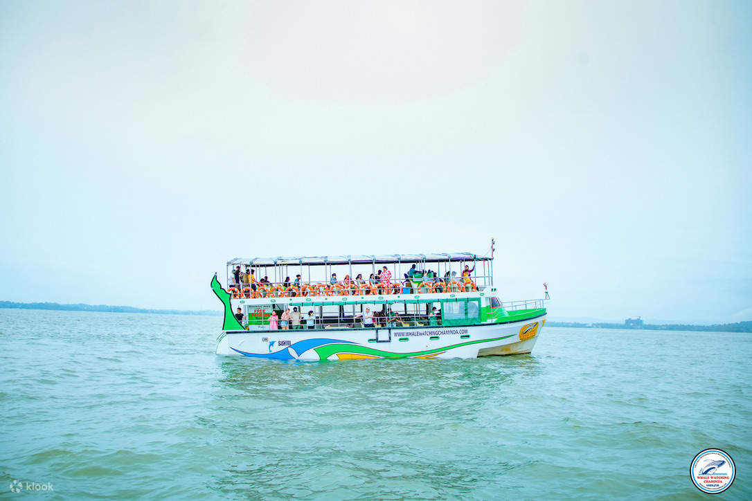 米瑞莎賞鯨之旅（Chaminda主辦，含早餐及接送）