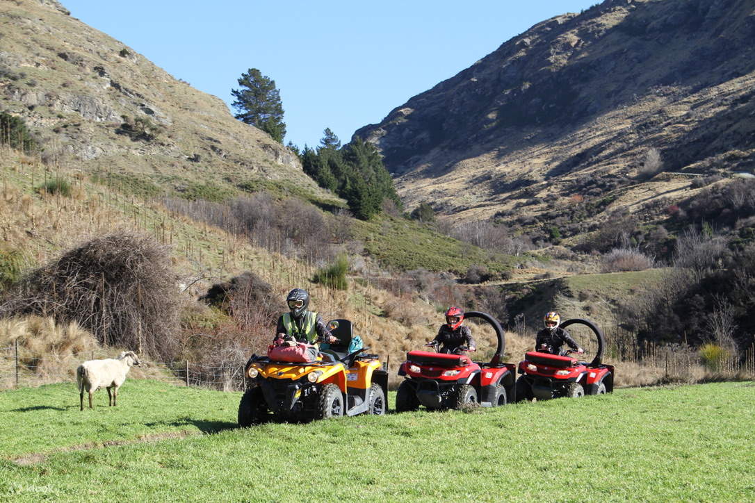 地元の人々との交流 – バー