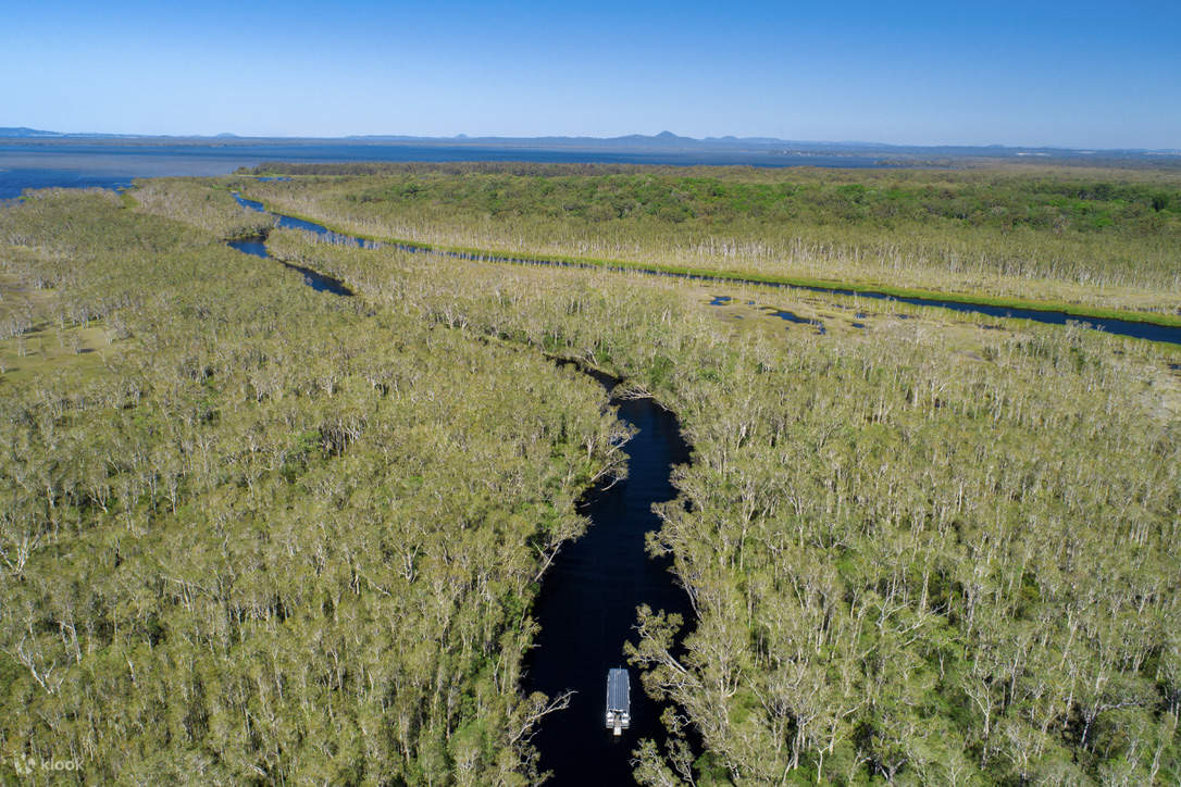 Một chiếc thuyền đang di chuyển trên Sông Noosa 
