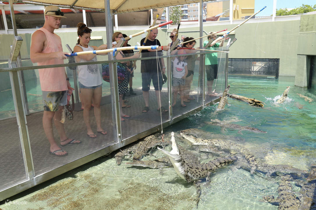 Croc N History Ticket at the Crocosaurus Cove in Darwin Klook India