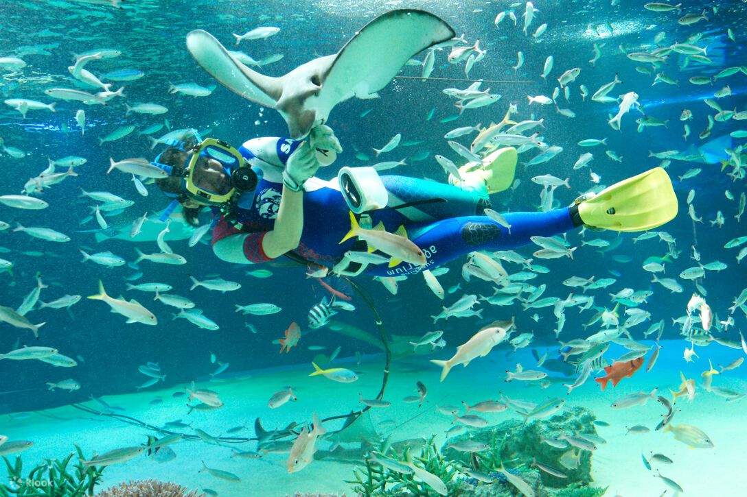 サンシャイン水族館 + SKY CIRCUS サンシャイン60展望台 割引