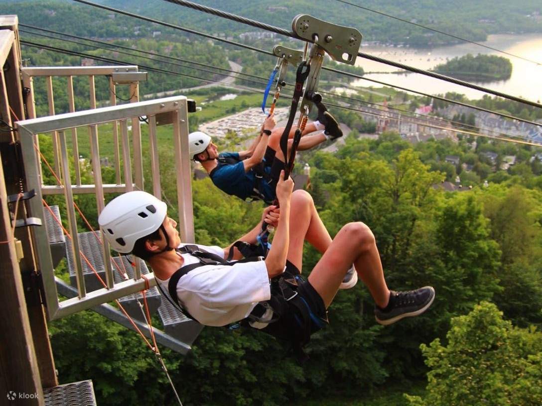 Provate l'emozione insieme e ammirate panorami mozzafiato mentre vi lanciate in zipline con un amico stretto.