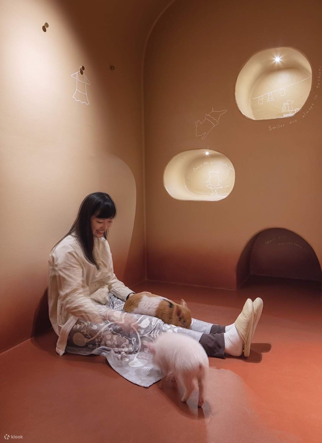 Private Room Micro Pig Cafe with Pig Treat Experience (Tokyo)