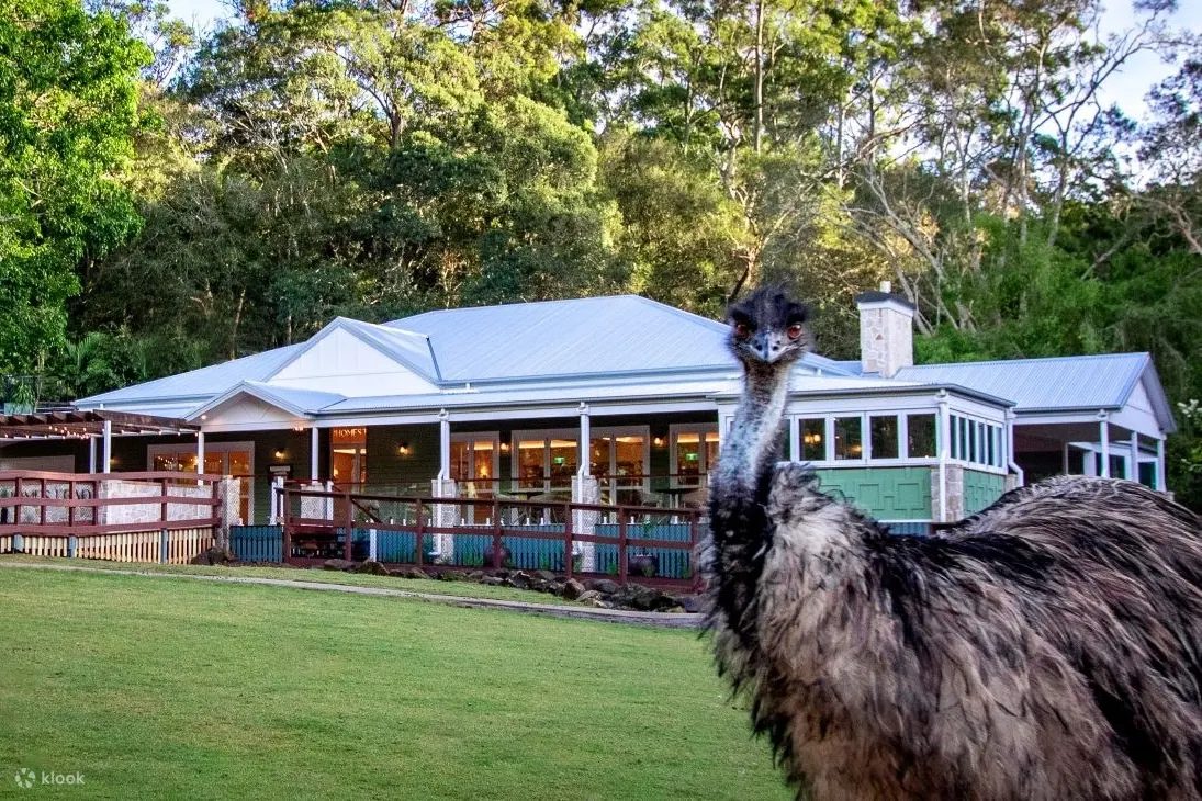 Currumbin Wildlife - Currumbin Wildlife Homestead