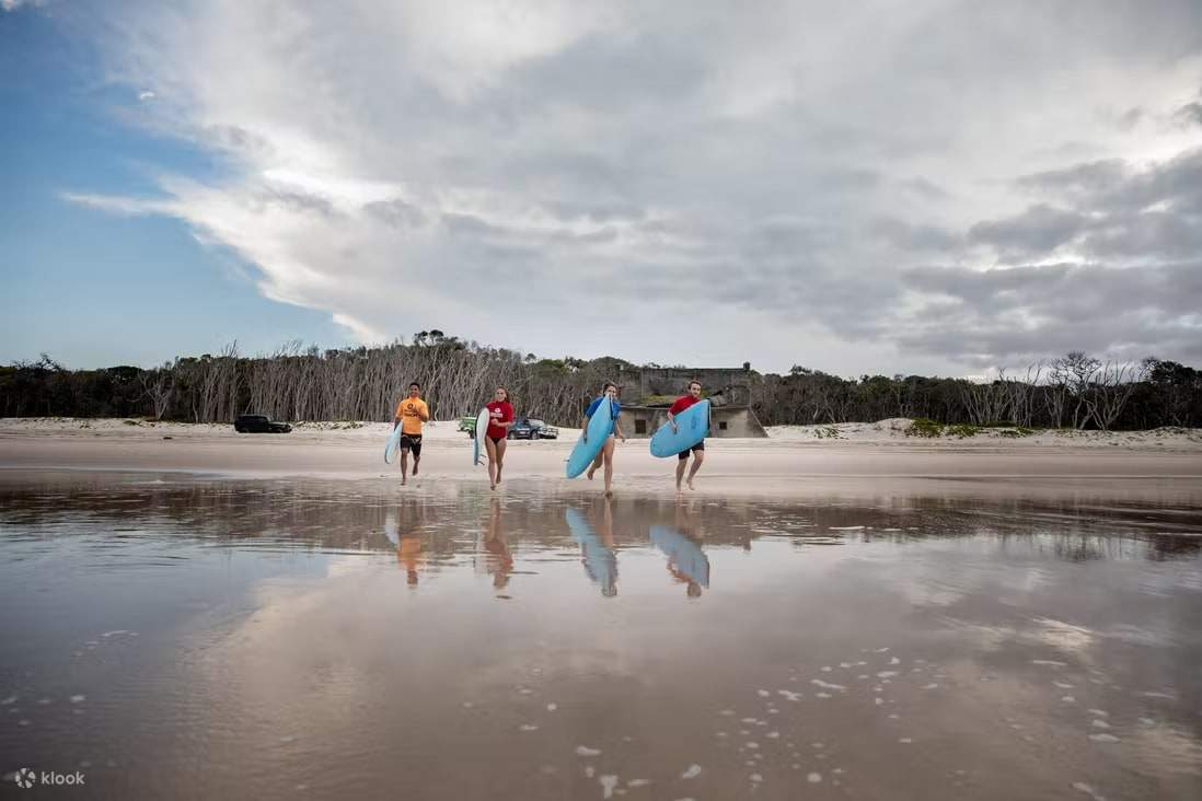 Sunshine Coast And Hinterland Tour In Maxwelton Australia Klook