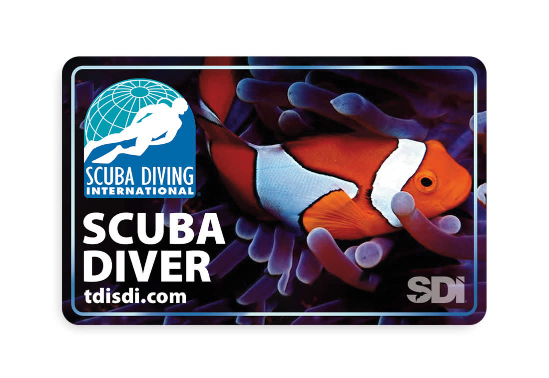 SDI Scuba Diver License