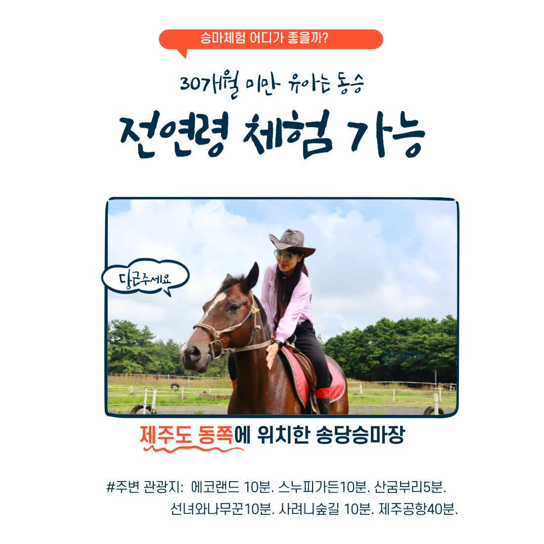 Horseback Riding Experience