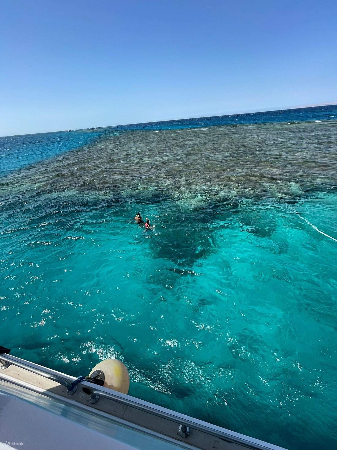 Explore The Underwater World With A Dolphin House Snorkeling Trip explore-the-underwater-world-with-a-dolphin-house-snorkeling-trip