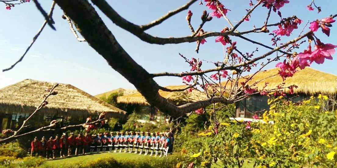 嘉义阿里山必访景点