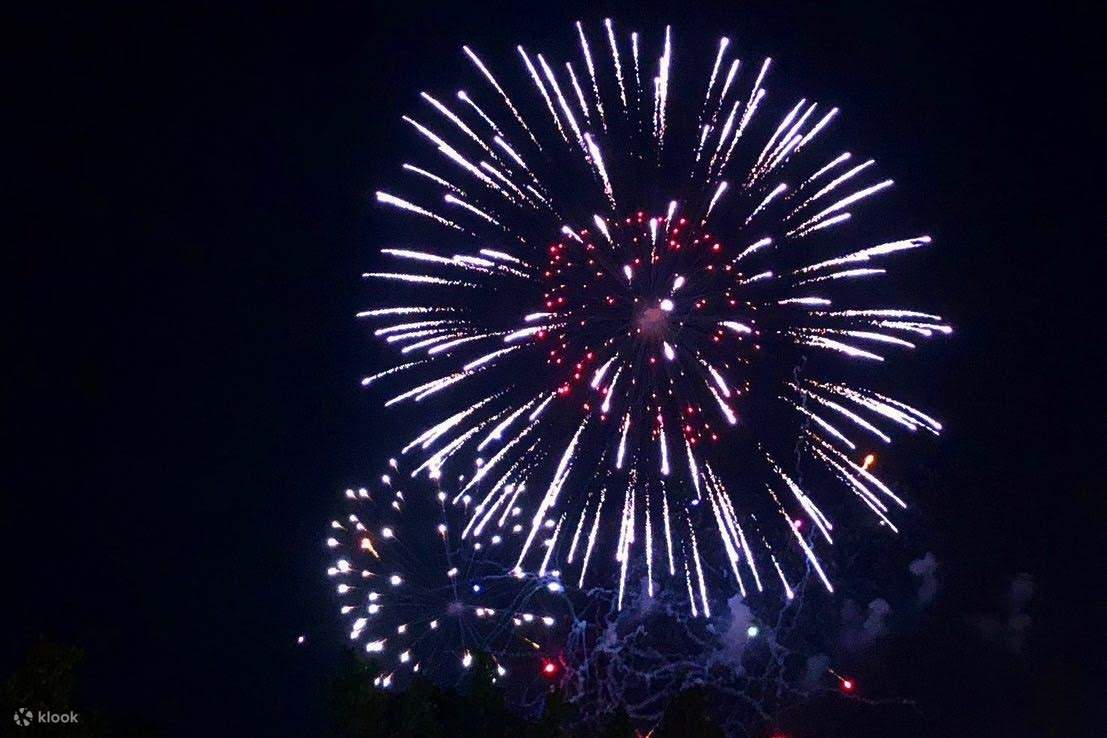 第46屆沖繩海洋博公園煙火大會