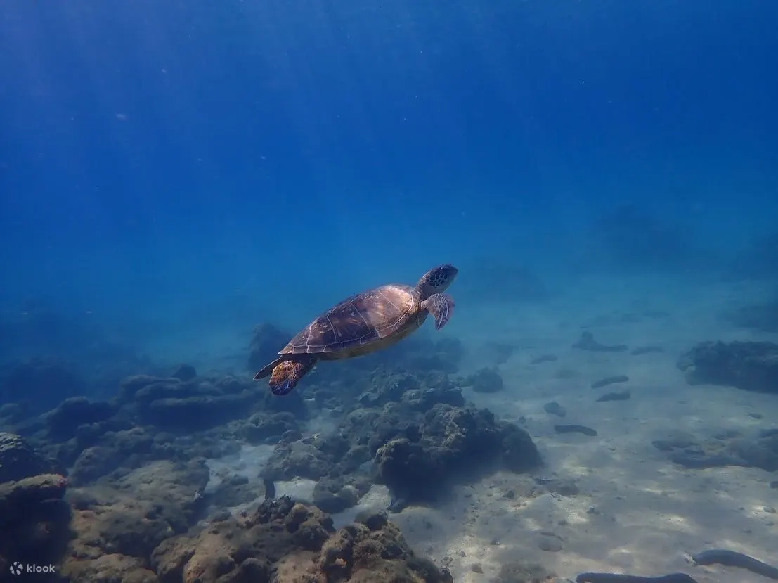 澎湖海底邮筒浮潜