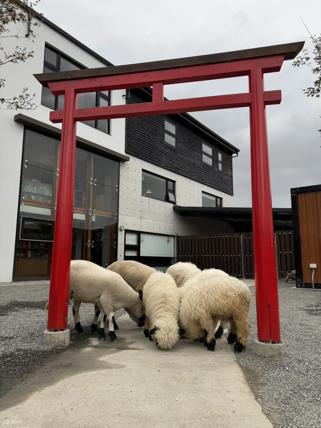 宜兰张美阿嬷农场门票