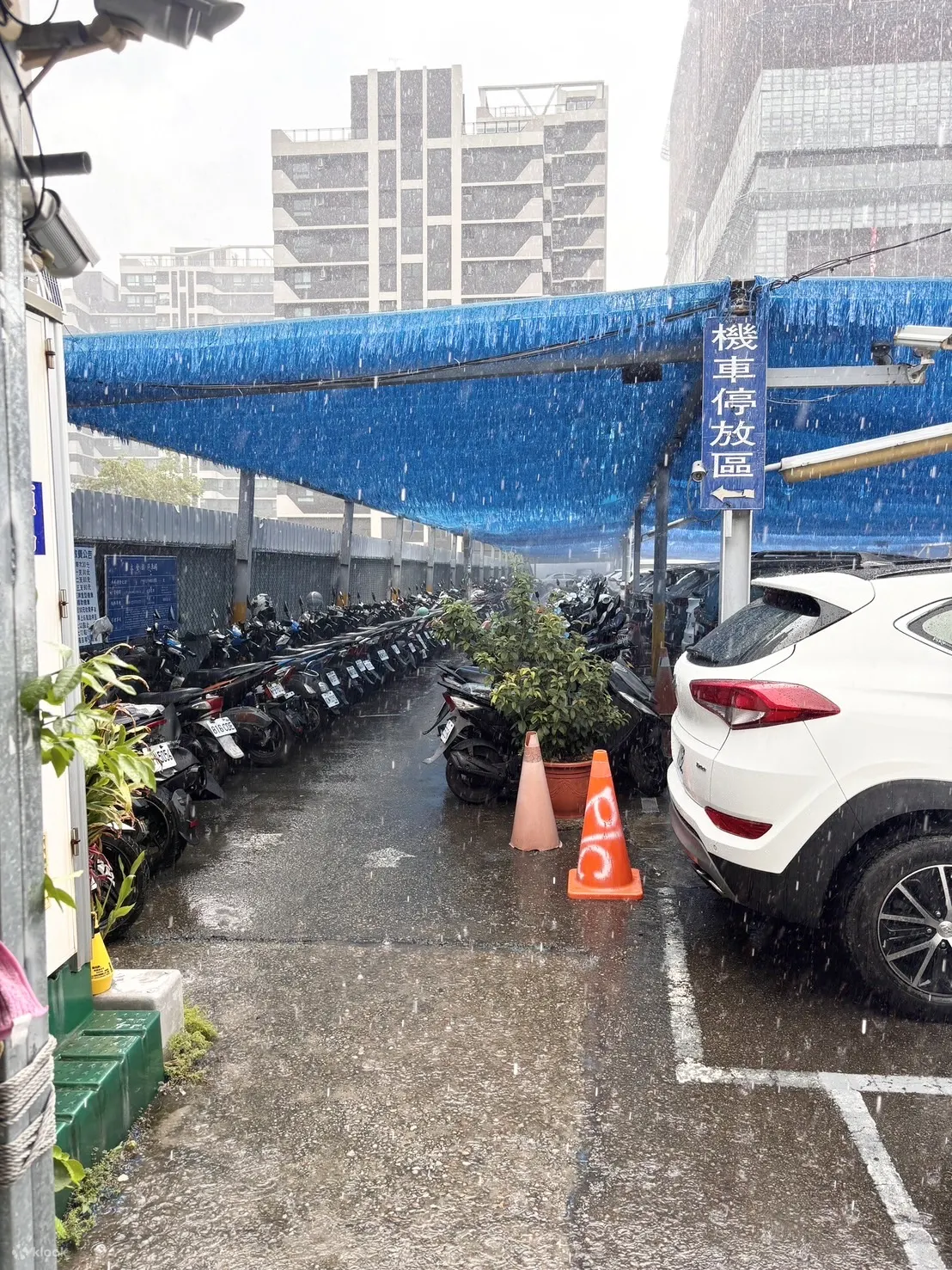 台中｜高铁台中｜古巷速客达｜租机车