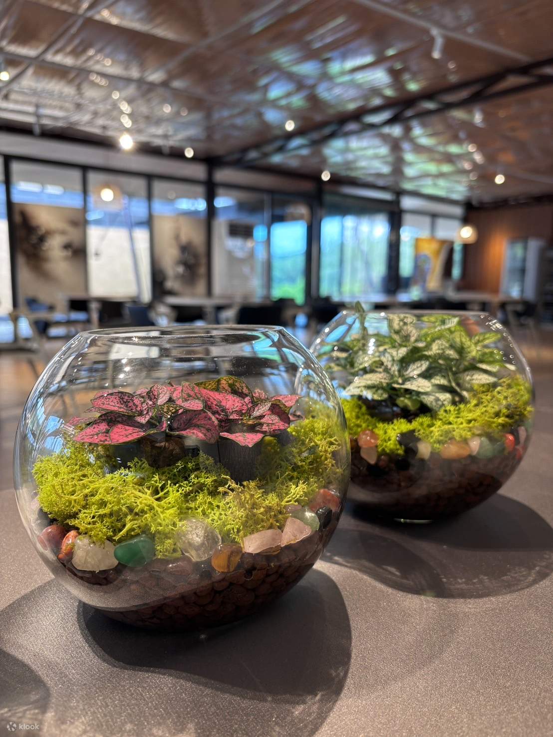 Nuova Taipei: Dannei Dannei Wild Luxury Manor