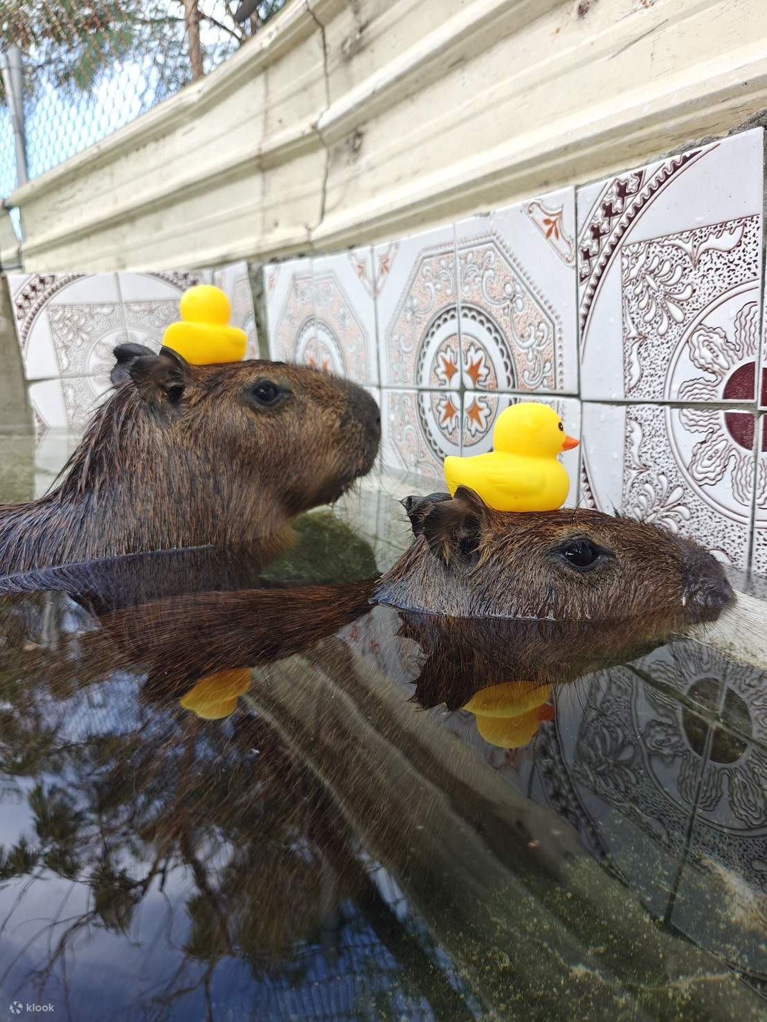 Входной билет в эколого-образовательный парк 