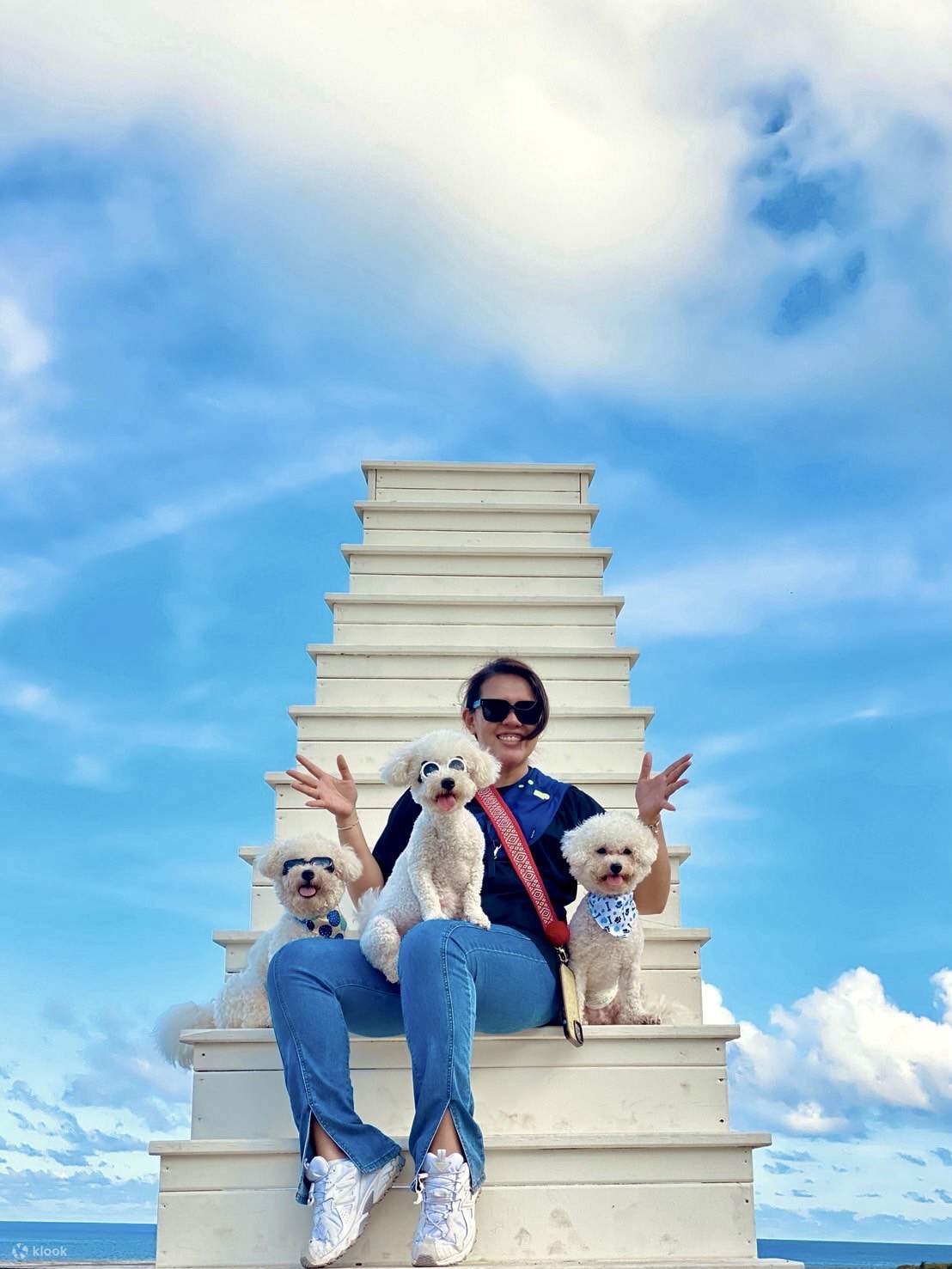 Pet-friendly Fun Together