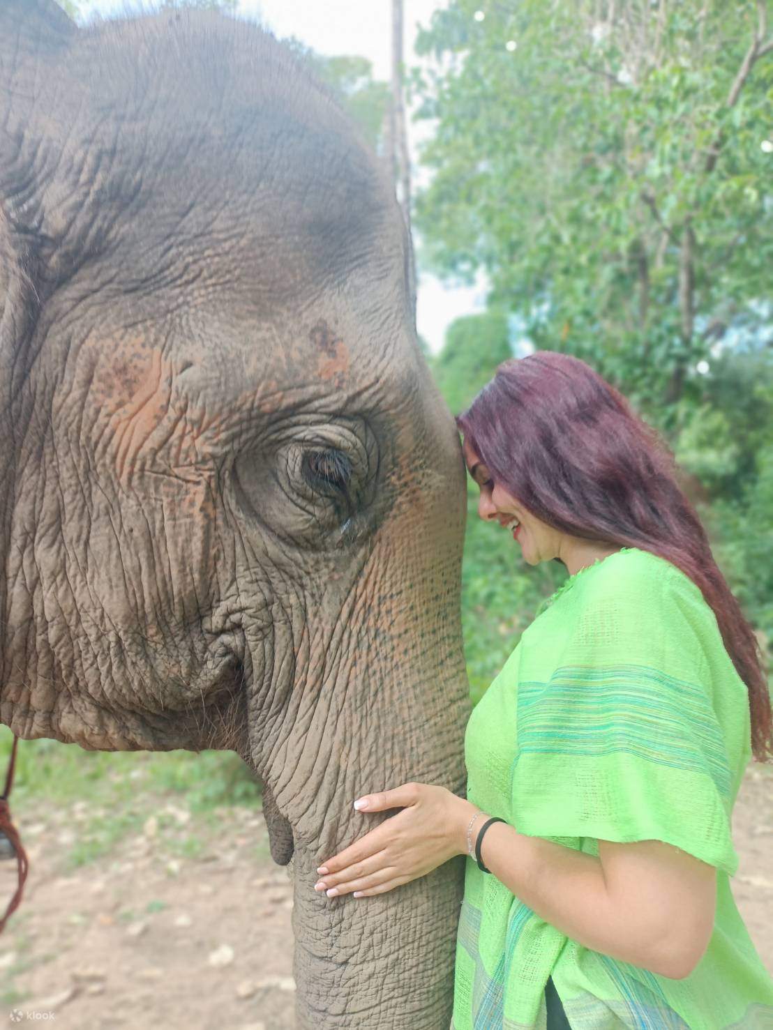 Elefanten-Tagespflege Chiang Mai Sanctuary