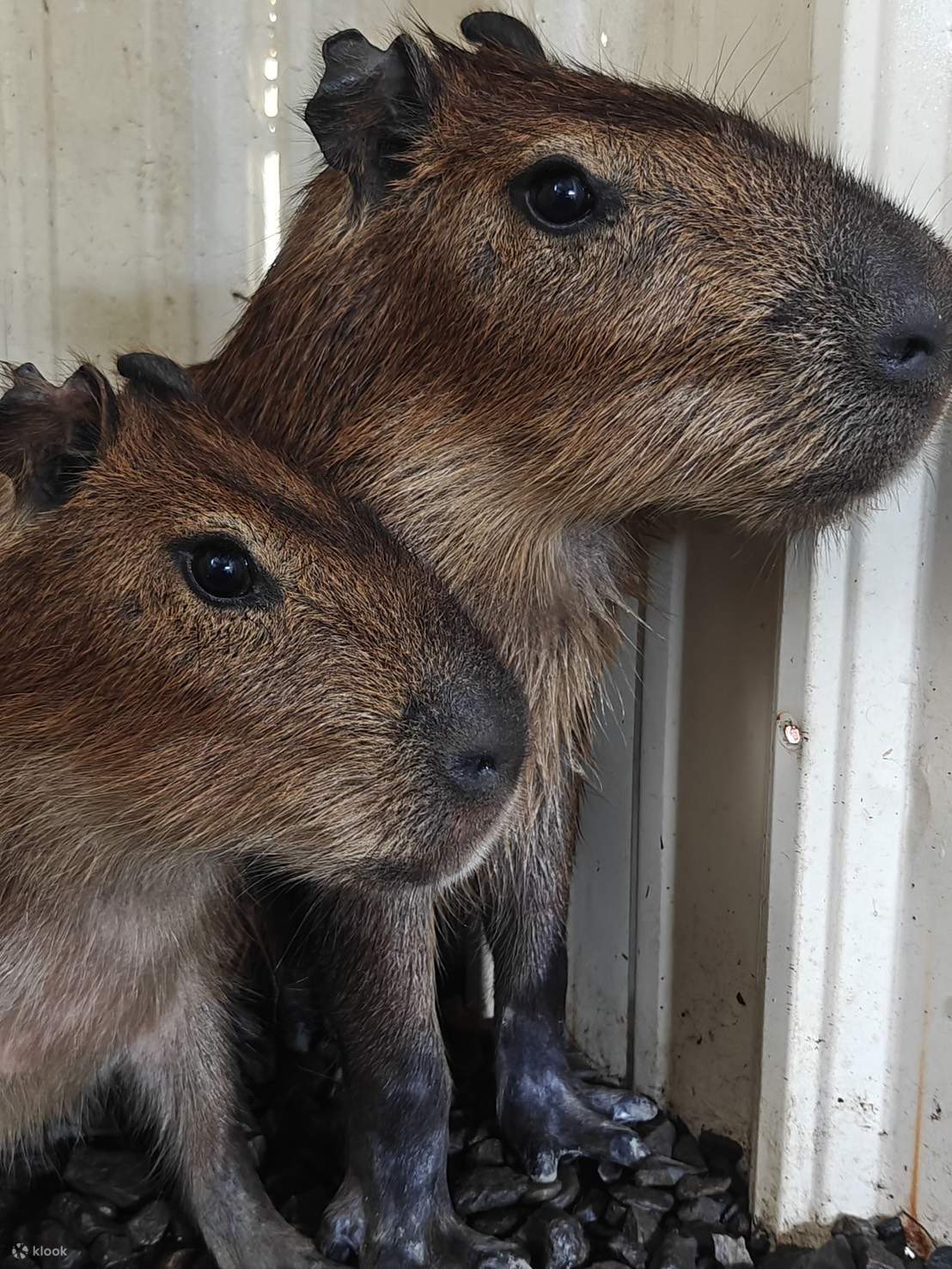 Входной билет в эколого-образовательный парк 