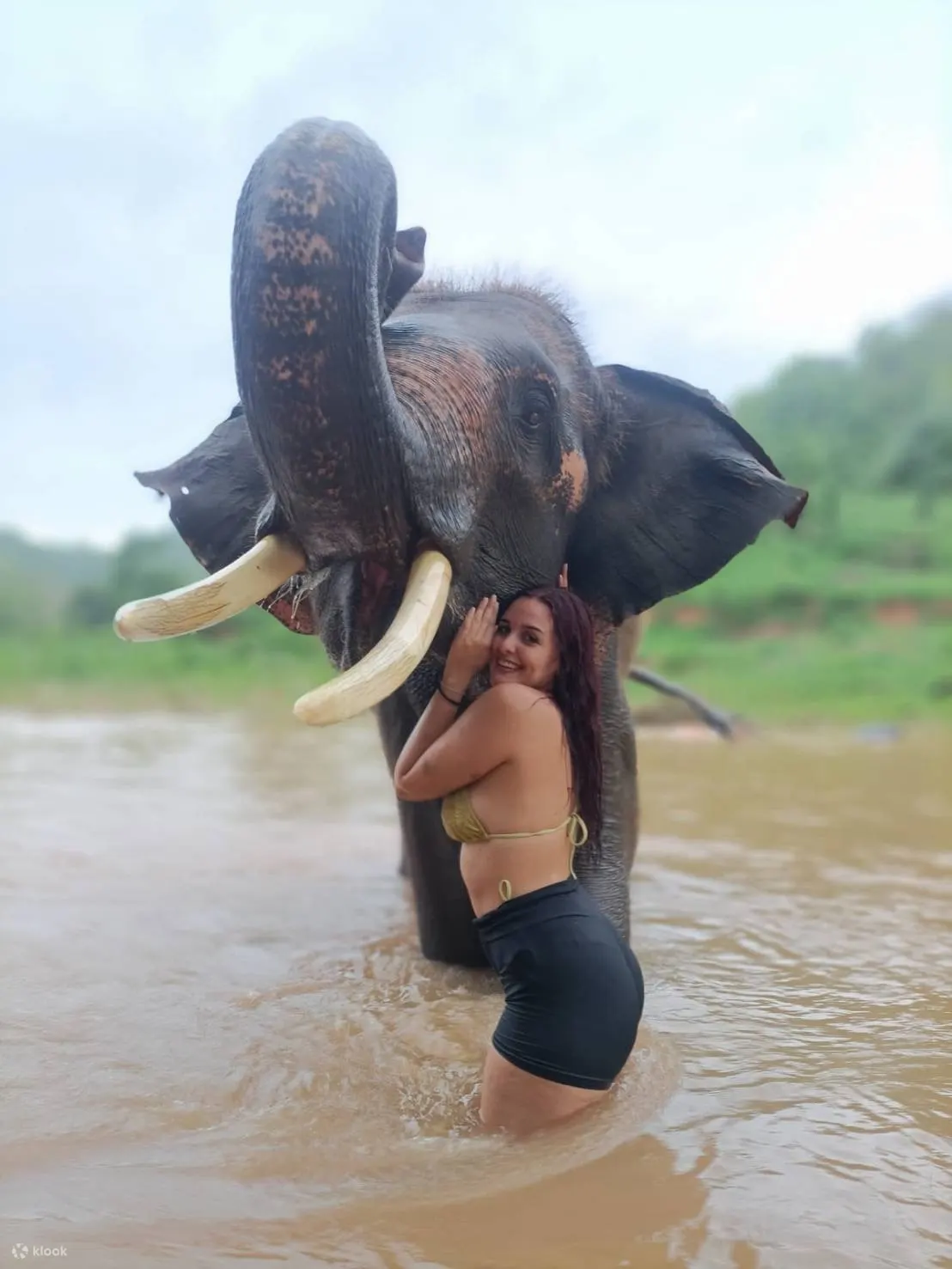 elephant day care chiang mai sanctuary