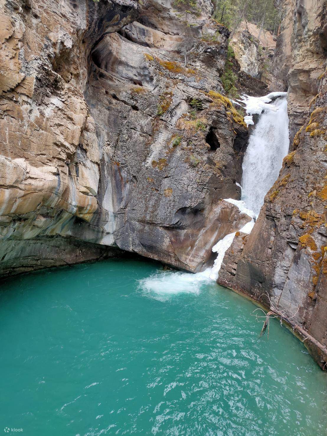 Winter Tour Banff Town, Johnston Canyon and Marble Canyon Icewalk ...
