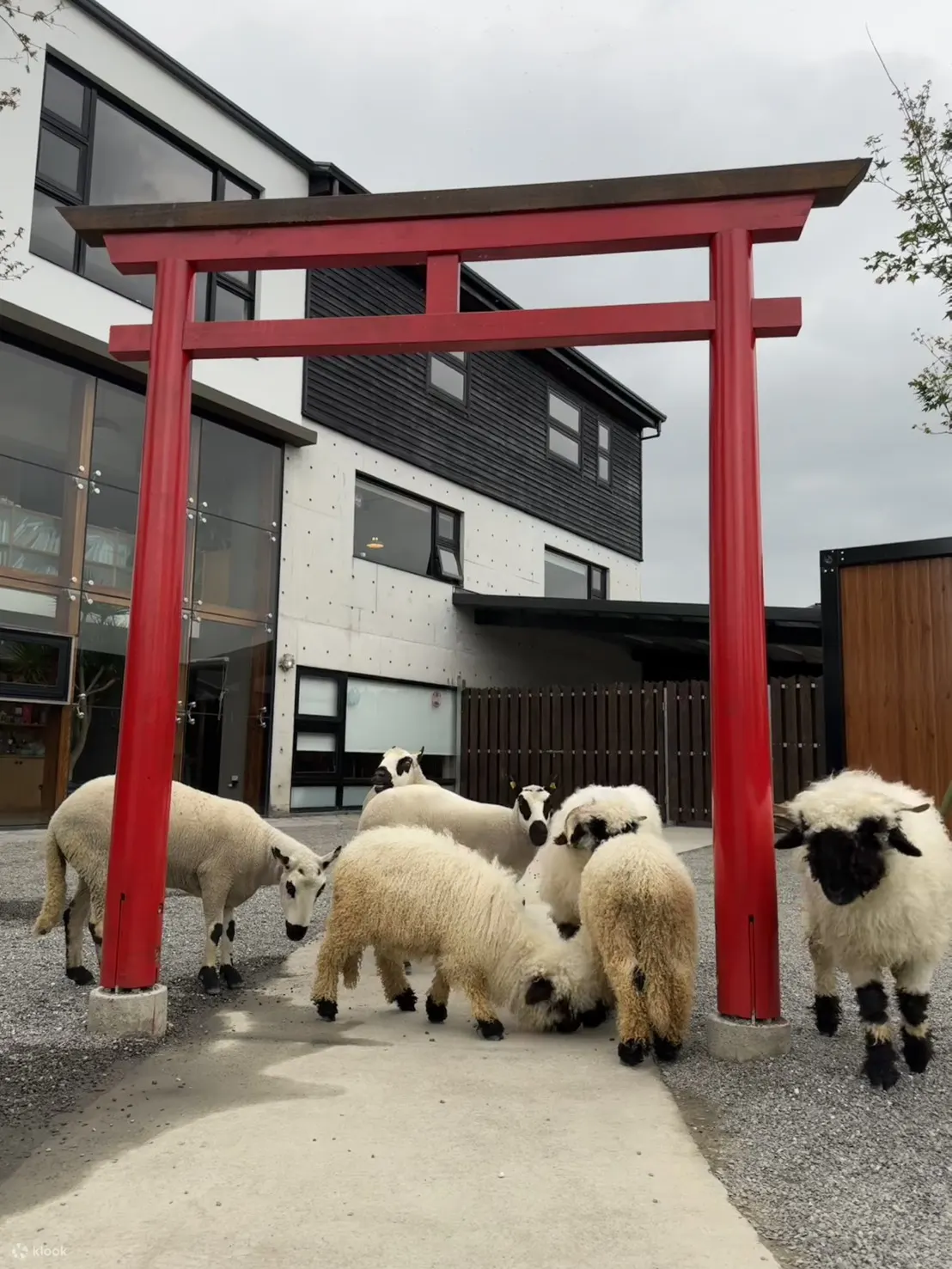 宜兰张美阿嬷农场门票
