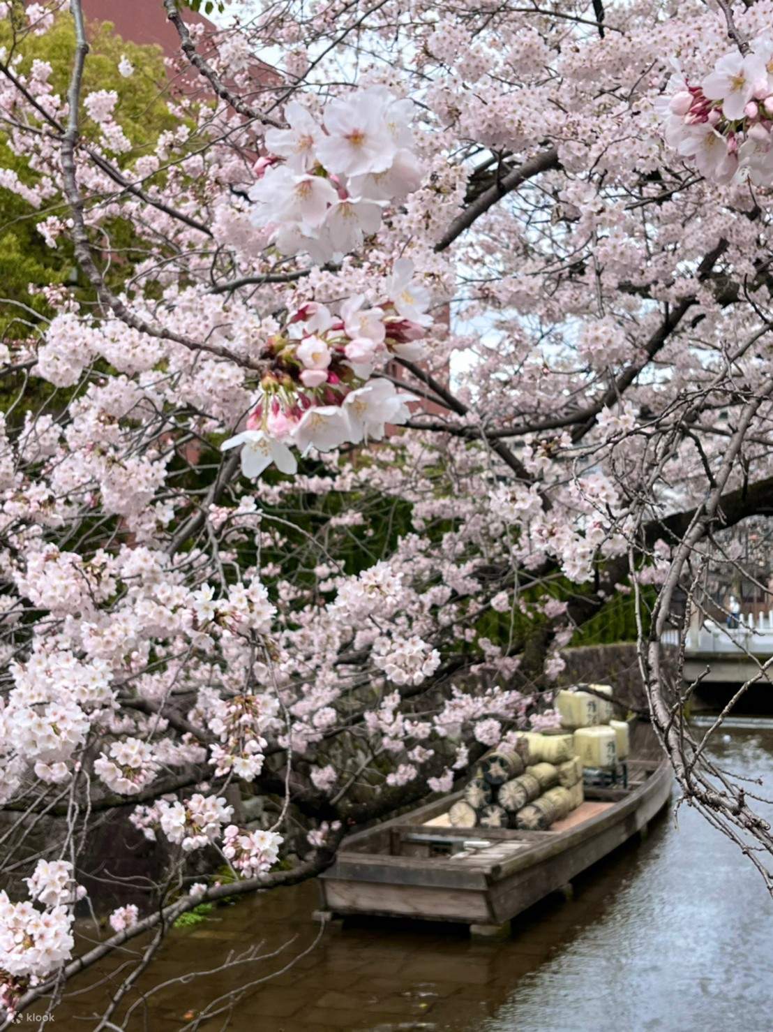 2 Hr Private Kyoto Class by Kodo Incense Klook United Kingdom