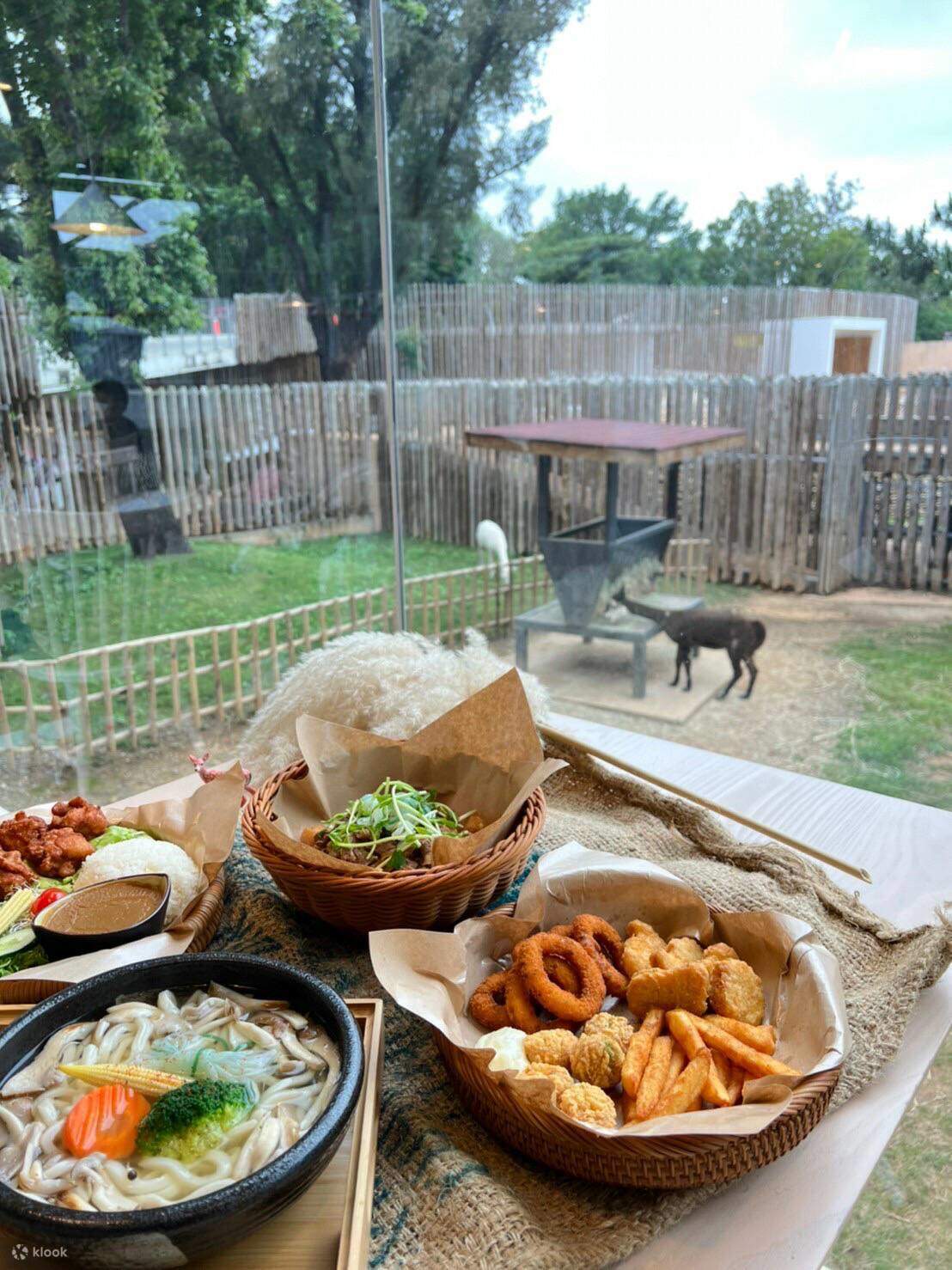 Menú del Comedor del Bosque