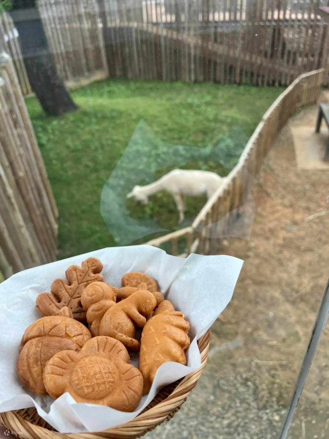 森林食堂菜单